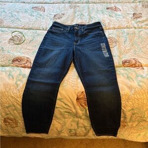 GAP Stretch Indigo High rise Favorite Jegging 8/29 Short